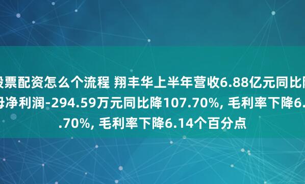 股票配资怎么个流程 翔丰华上半年营收6.88亿元同比降2.80%, 归母净利润-294.59万元同比降107.70%, 毛利率下降6.14个百分点