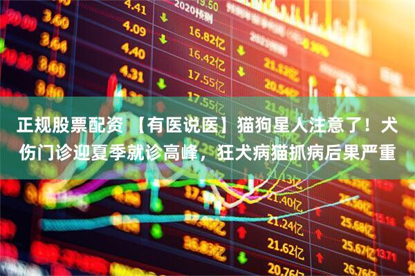 正规股票配资 【有医说医】猫狗星人注意了！犬伤门诊迎夏季就诊高峰，狂犬病猫抓病后果严重