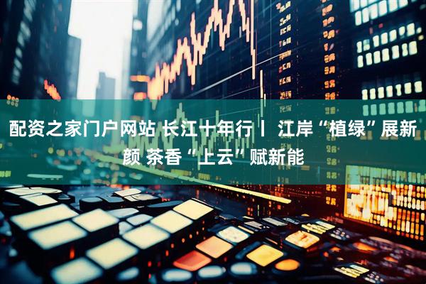 配资之家门户网站 长江十年行丨 江岸“植绿”展新颜 茶香“上云”赋新能